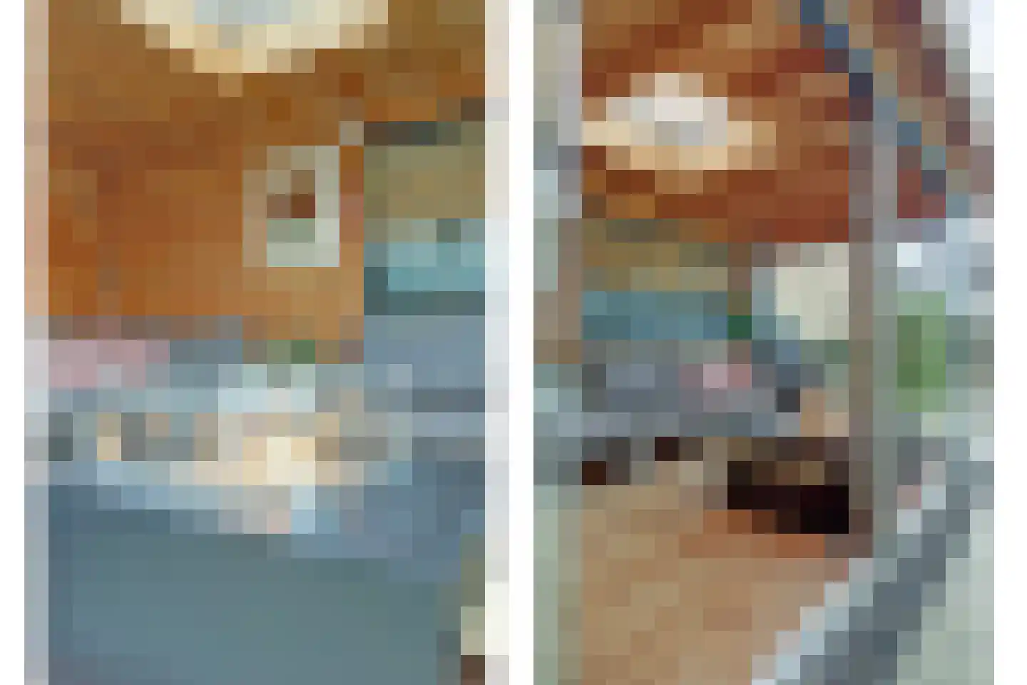Zwanebloem 4 Hendrik-Ido-Ambacht thumbnail 4