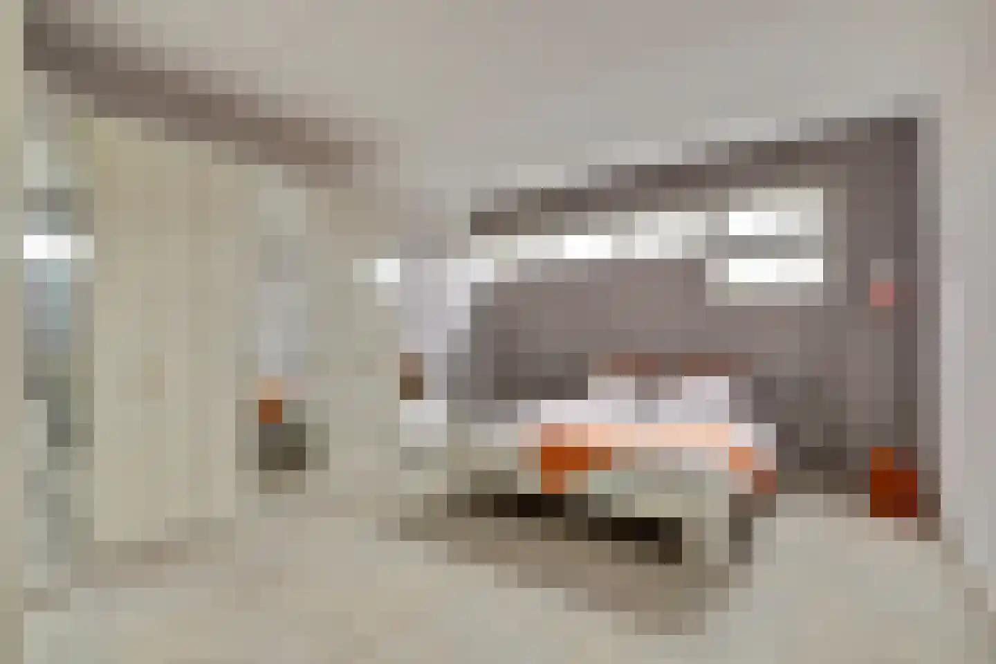 Zwanebloem 4 Hendrik-Ido-Ambacht thumbnail 41