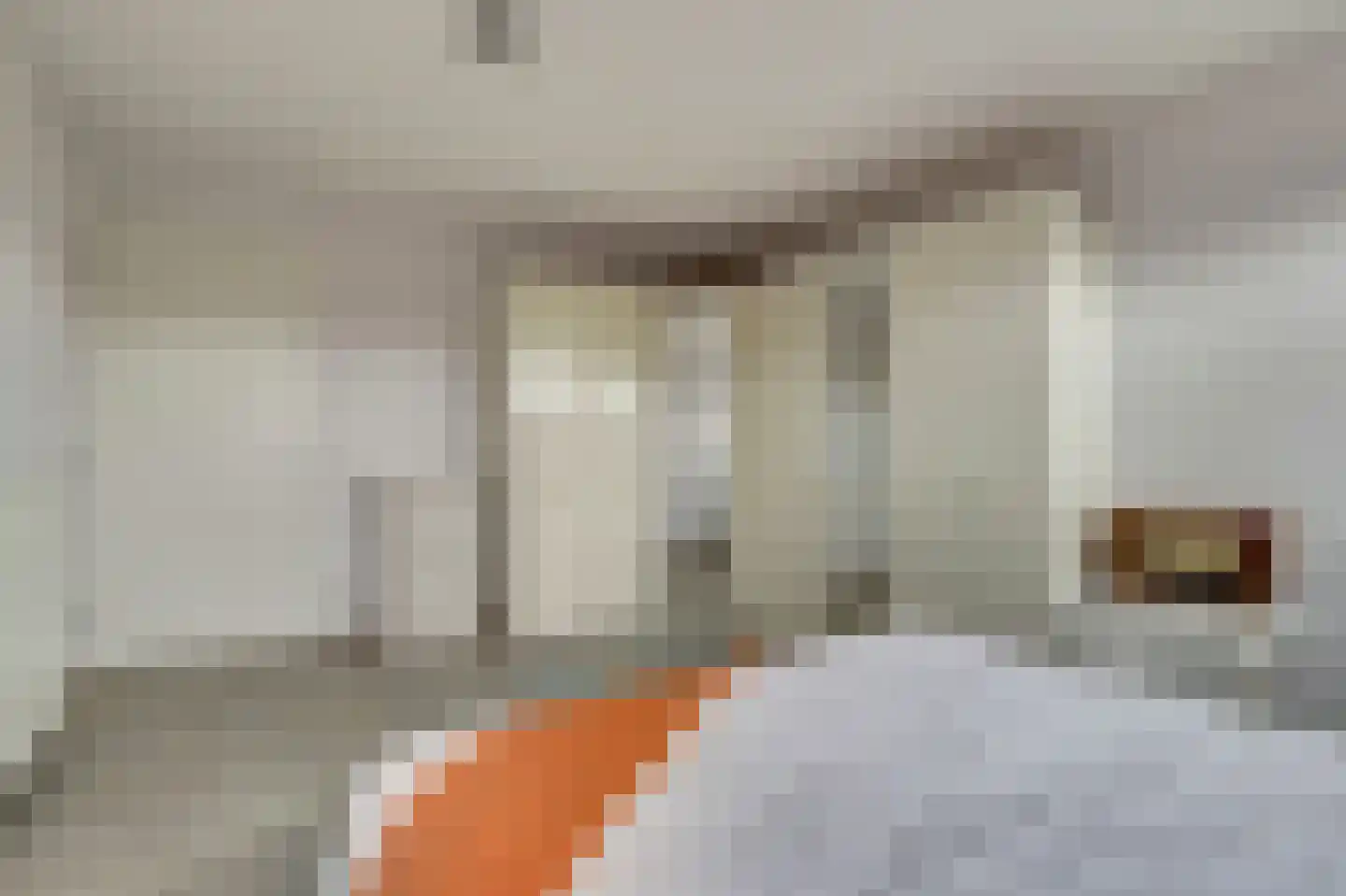Zwanebloem 4 Hendrik-Ido-Ambacht thumbnail 42