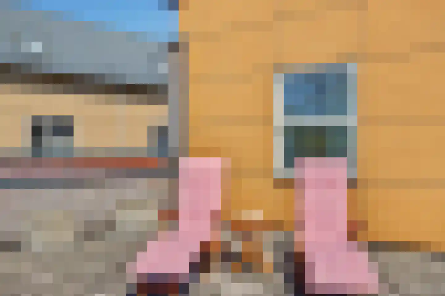 Zwanebloem 4 Hendrik-Ido-Ambacht thumbnail 58