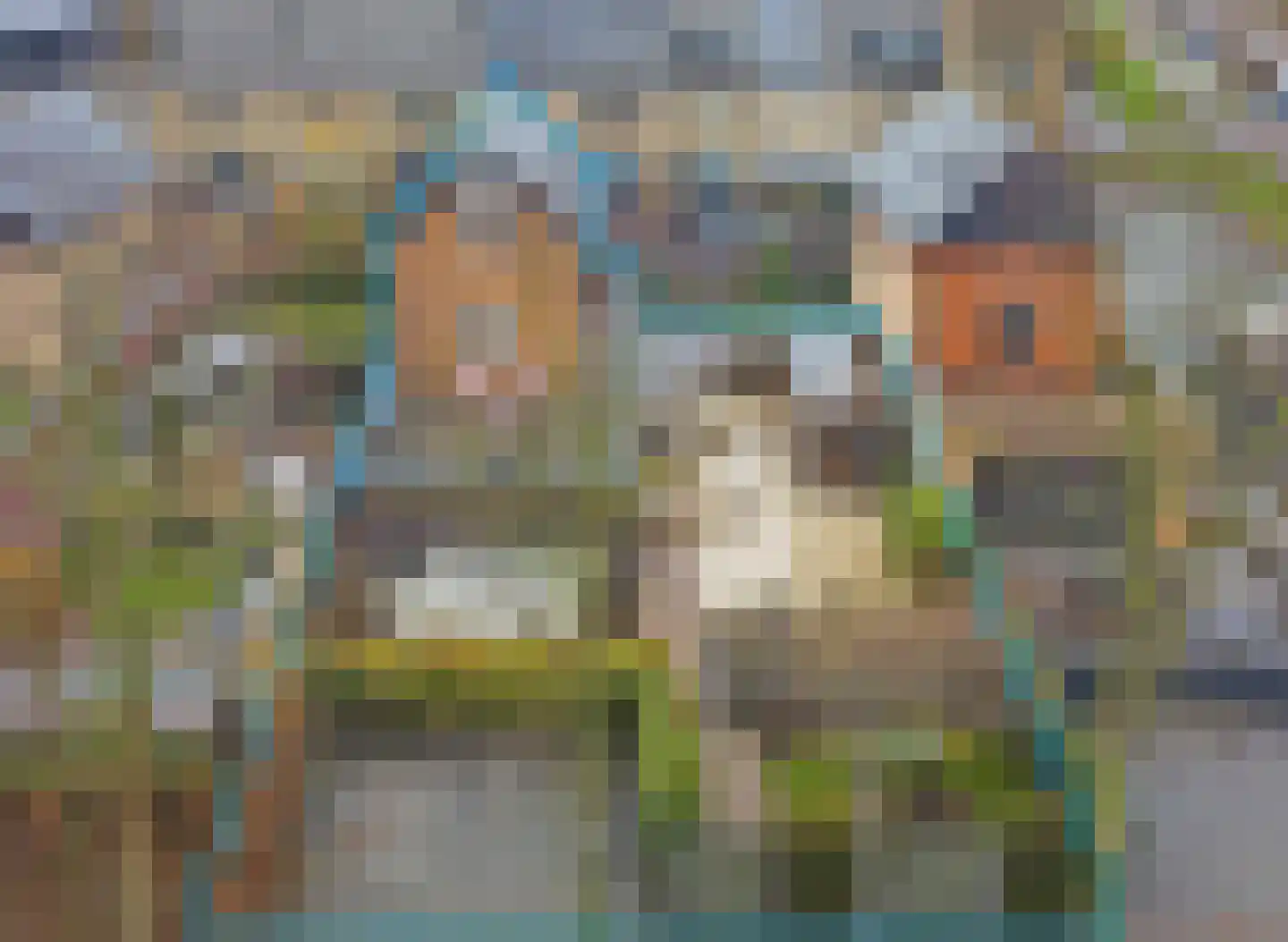 Zwanebloem 4 Hendrik-Ido-Ambacht thumbnail 6