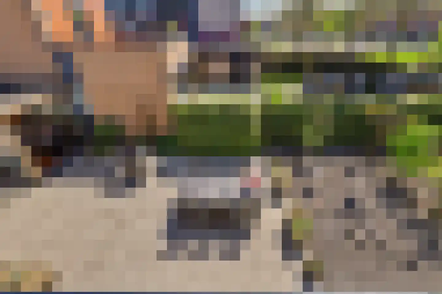Zwanebloem 4 Hendrik-Ido-Ambacht thumbnail 62
