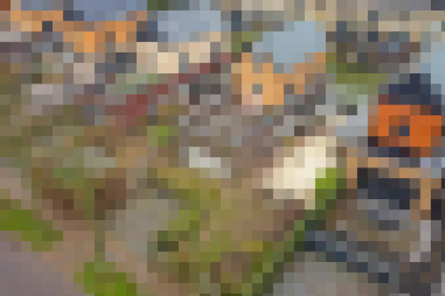 Zwanebloem 4 Hendrik-Ido-Ambacht thumbnail 64