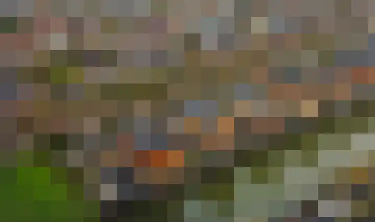 Zwanebloem 4 Hendrik-Ido-Ambacht thumbnail 67