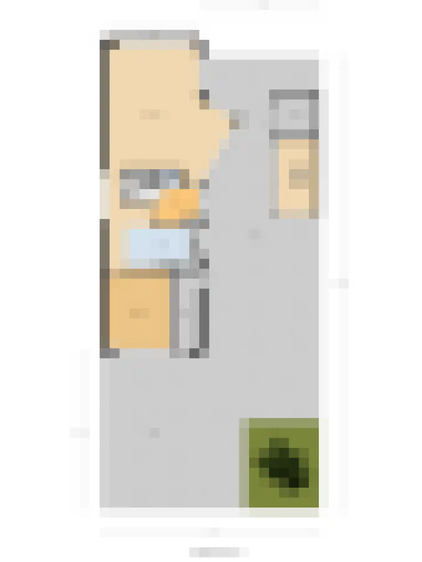 Zwanebloem 4 Hendrik-Ido-Ambacht thumbnail 69