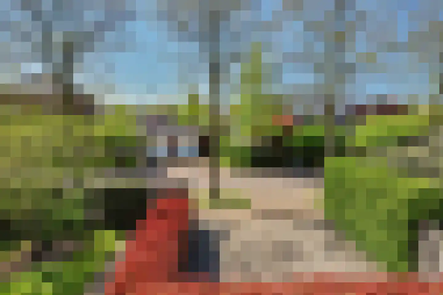 Zwanebloem 4 Hendrik-Ido-Ambacht thumbnail 8