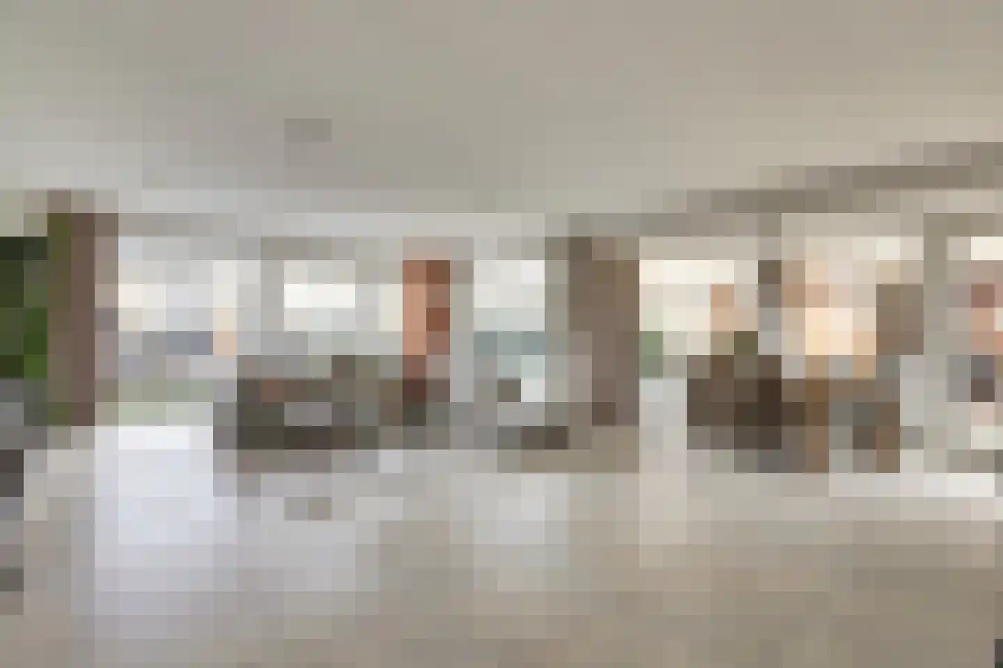 Zwanebloem 4 Hendrik-Ido-Ambacht thumbnail 9