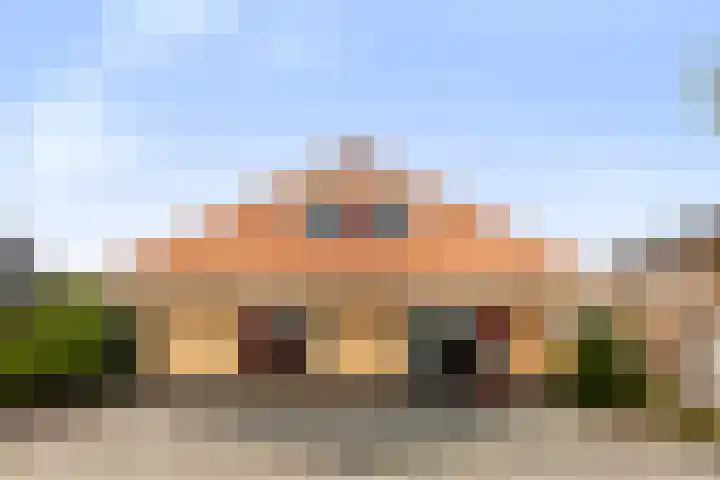 Zwanebloem 4 Kollum foto 2