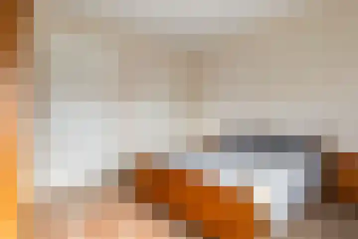 Zwanebloem 4 Kollum thumbnail 20