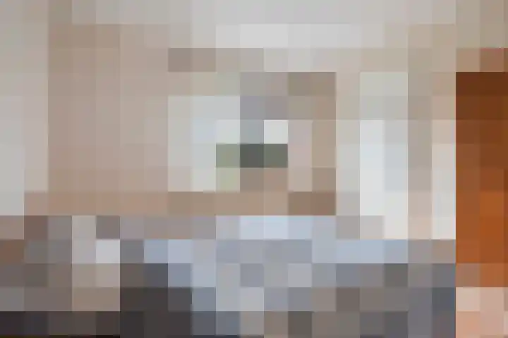 Zwanebloem 4 Kollum thumbnail 21