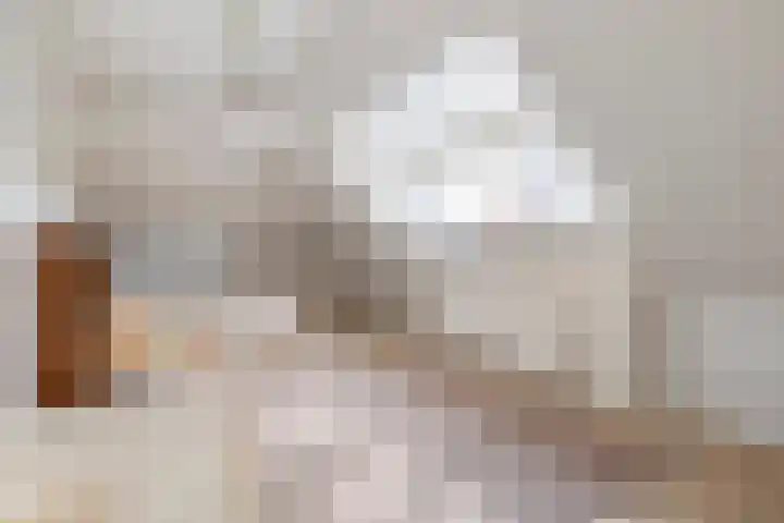 Zwanebloem 4 Kollum thumbnail 24