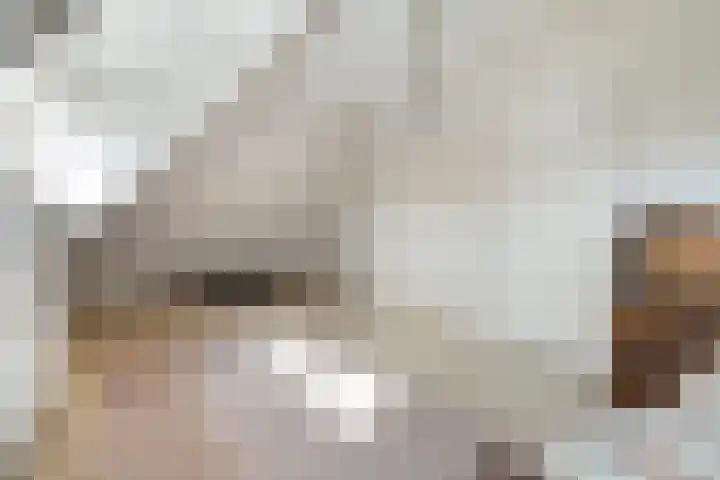 Zwanebloem 4 Kollum thumbnail 26