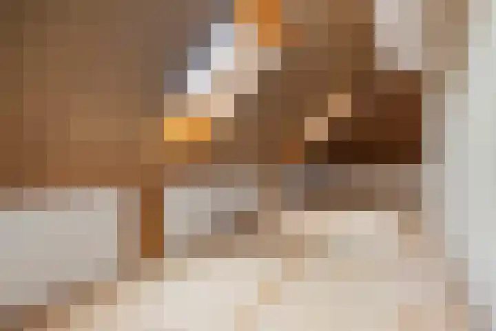 Zwanebloem 4 Kollum thumbnail 28