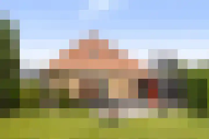 Zwanebloem 4 Kollum foto 3