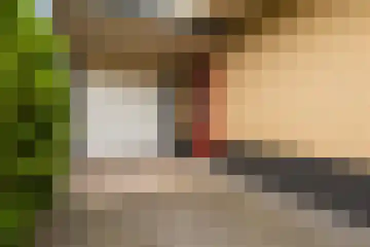 Zwanebloem 4 Kollum thumbnail 32