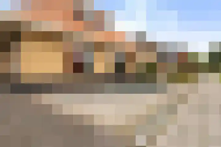 Zwanebloem 4 Kollum thumbnail 35