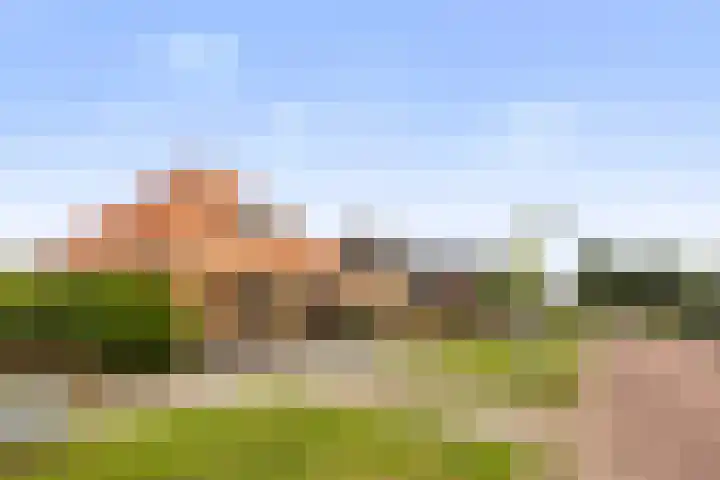 Zwanebloem 4 Kollum thumbnail 36