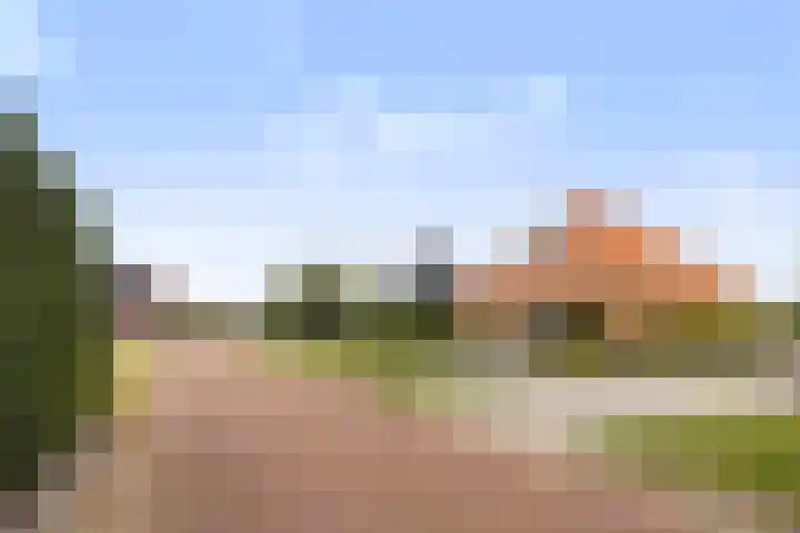 Zwanebloem 4 Kollum thumbnail 37