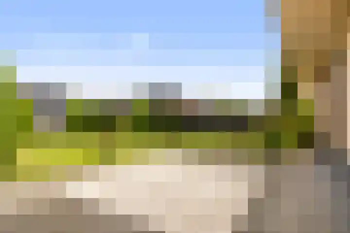 Zwanebloem 4 Kollum thumbnail 38