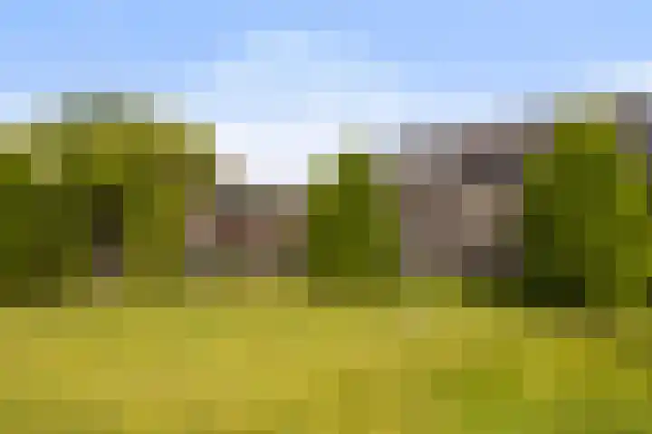 Zwanebloem 4 Kollum thumbnail 39
