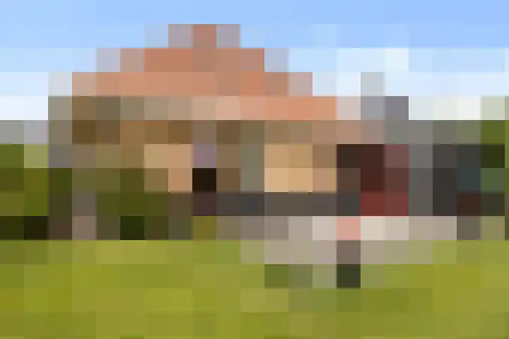 Zwanebloem 4 Kollum thumbnail 41