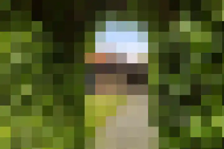 Zwanebloem 4 Kollum thumbnail 42