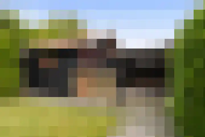 Zwanebloem 4 Kollum thumbnail 43