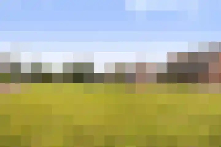 Zwanebloem 4 Kollum thumbnail 44