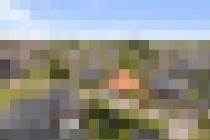 Zwanebloem 4 Kollum thumbnail 46