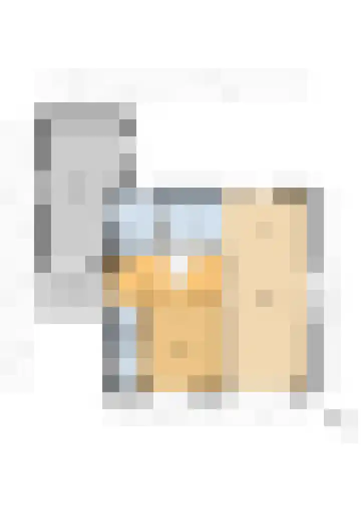 Zwanebloem 4 Kollum thumbnail 48