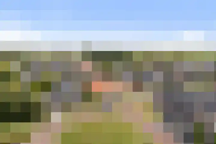 Zwanebloem 4 Kollum thumbnail 5
