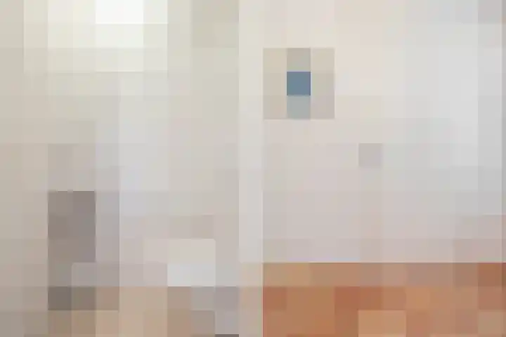Zwanebloem 4 Kollum thumbnail 9