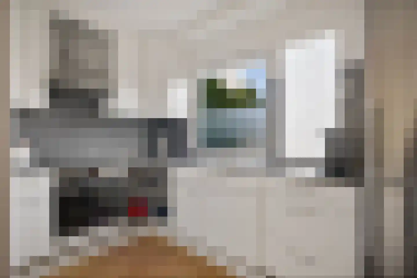 Zwanebloem 44 Zwaag thumbnail 10