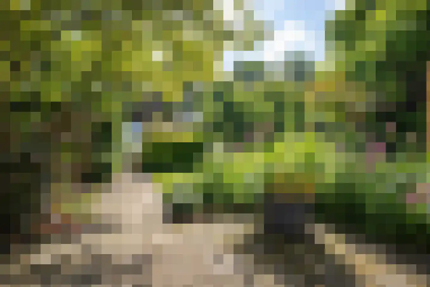 Zwanebloem 44 Zwaag thumbnail 21