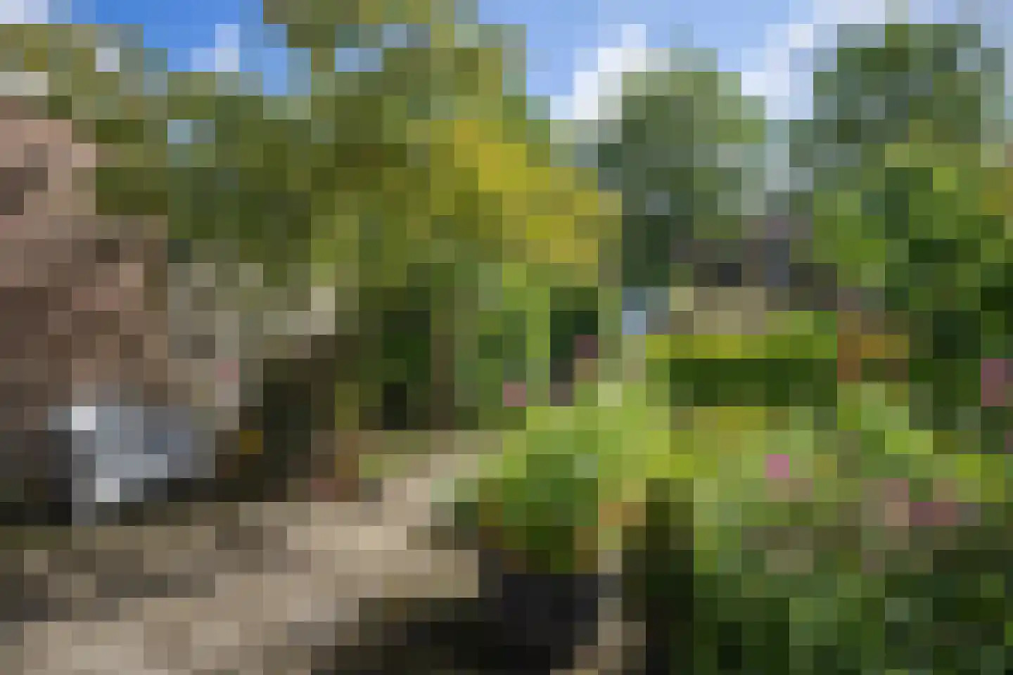 Zwanebloem 44 Zwaag thumbnail 22
