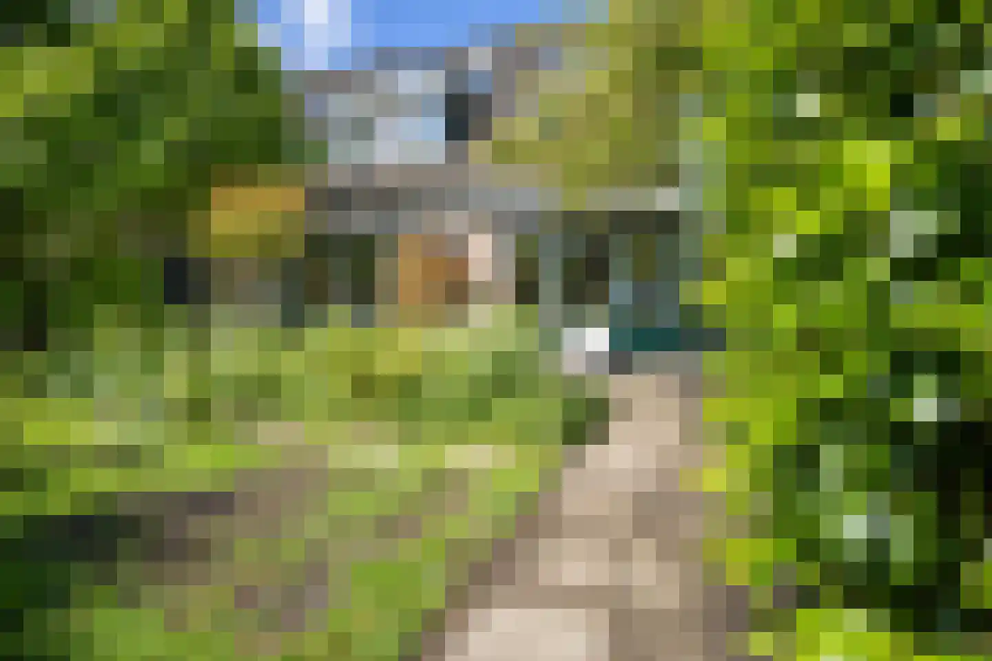 Zwanebloem 44 Zwaag thumbnail 23