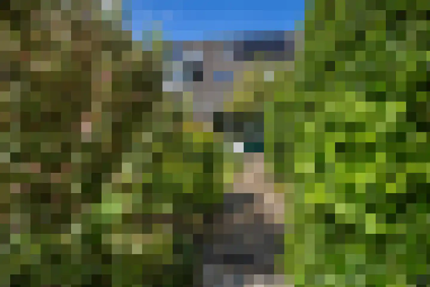 Zwanebloem 44 Zwaag thumbnail 26