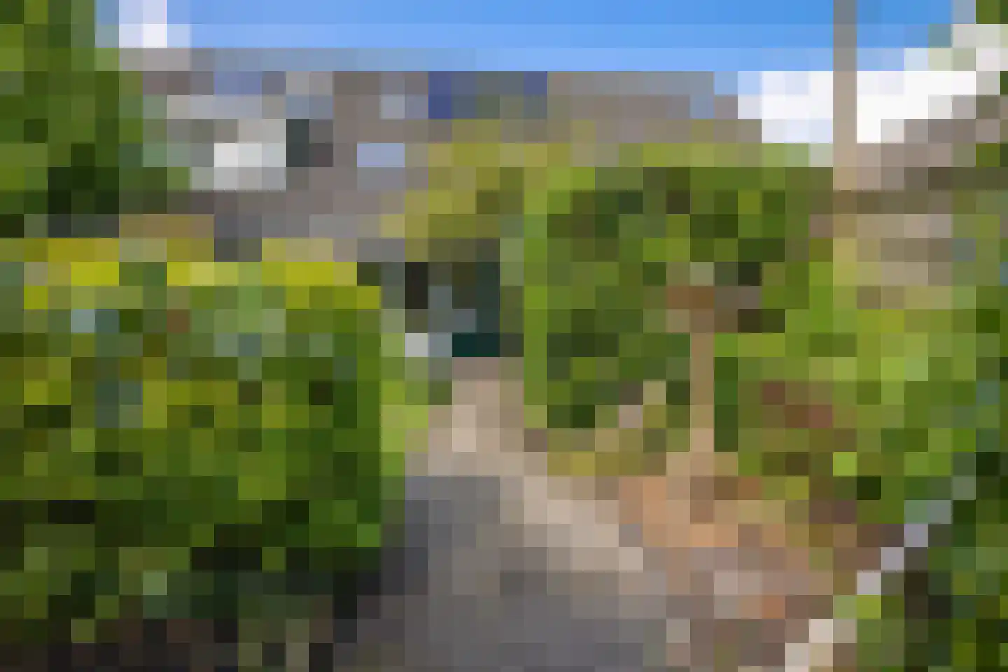 Zwanebloem 44 Zwaag thumbnail 27