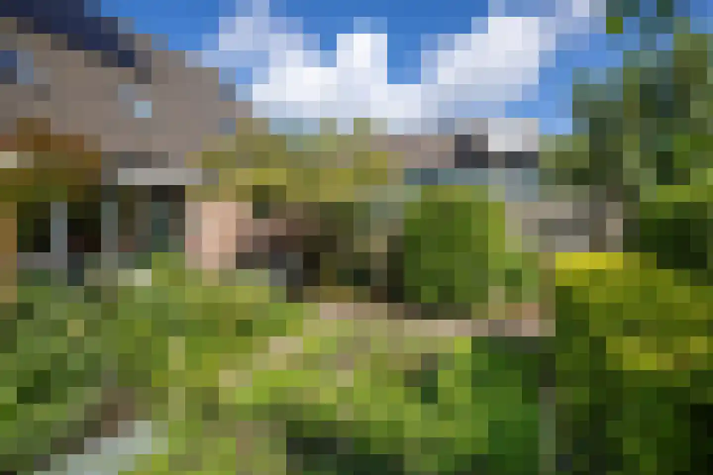 Zwanebloem 44 Zwaag thumbnail 28