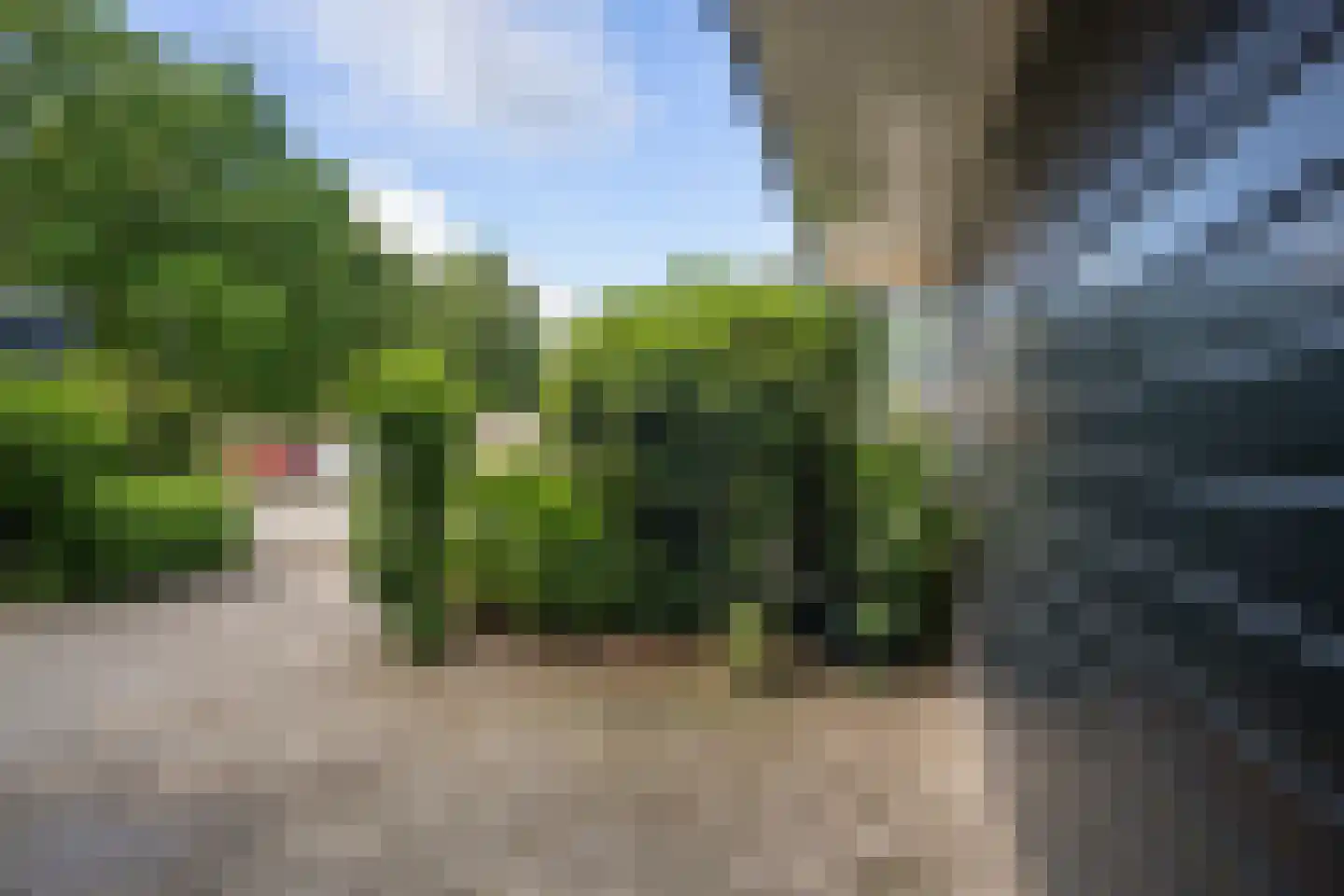 Zwanebloem 44 Zwaag thumbnail 29