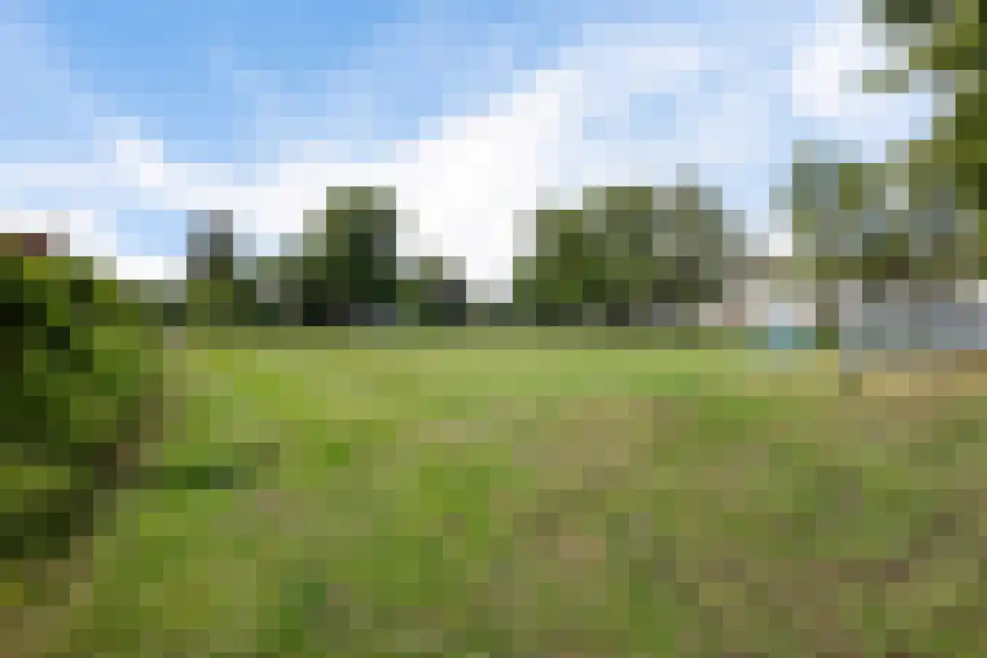 Zwanebloem 44 Zwaag thumbnail 30