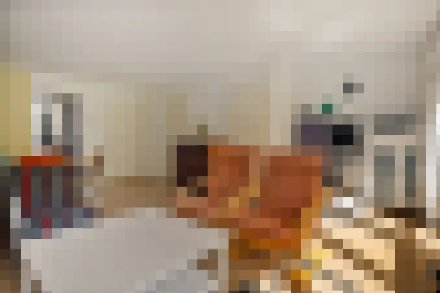 Zwanebloem 44 Zwaag thumbnail 7