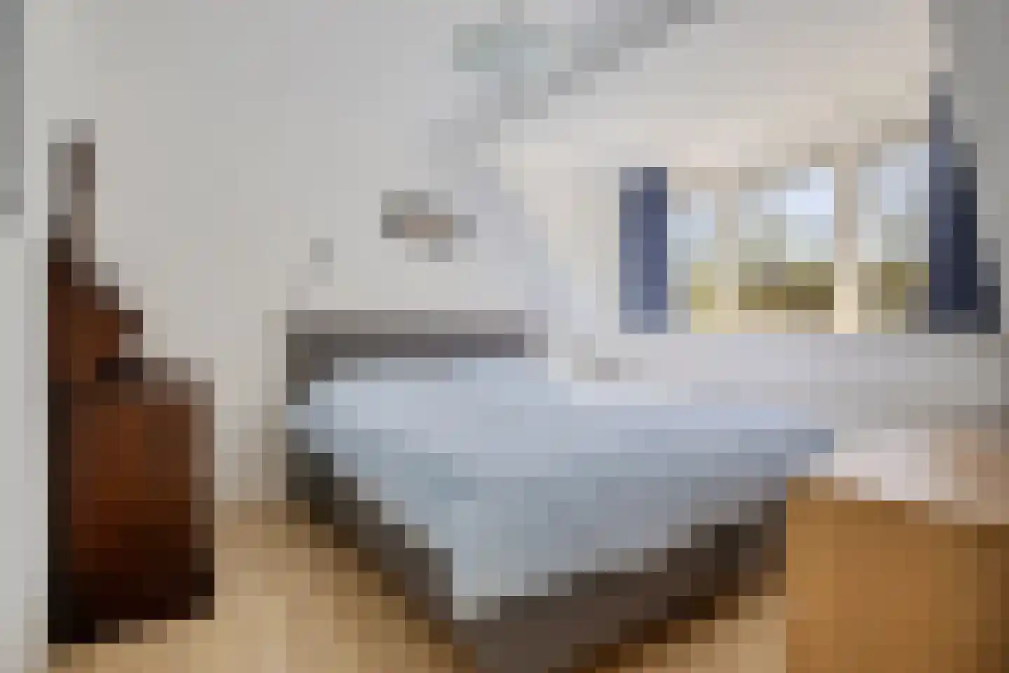 Zwanebloem 45 Zwaag thumbnail 16