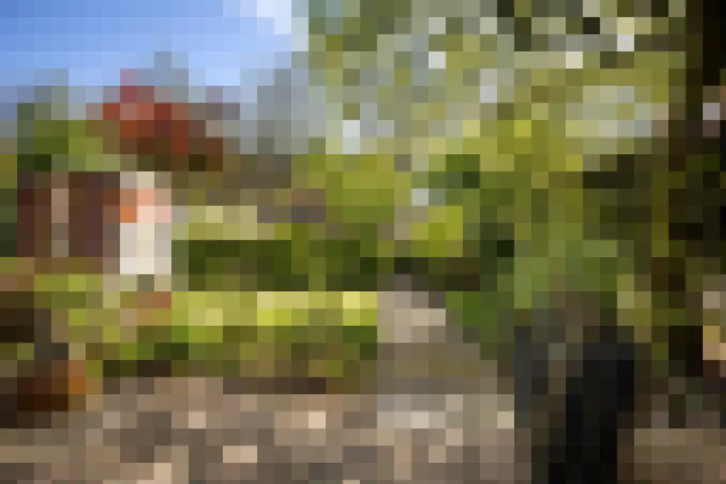 Zwanebloem 45 Zwaag thumbnail 20