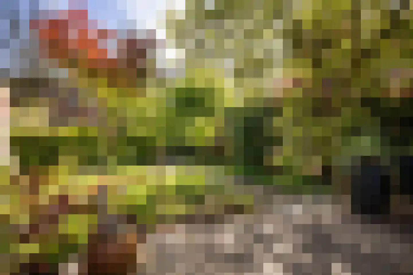 Zwanebloem 45 Zwaag thumbnail 21