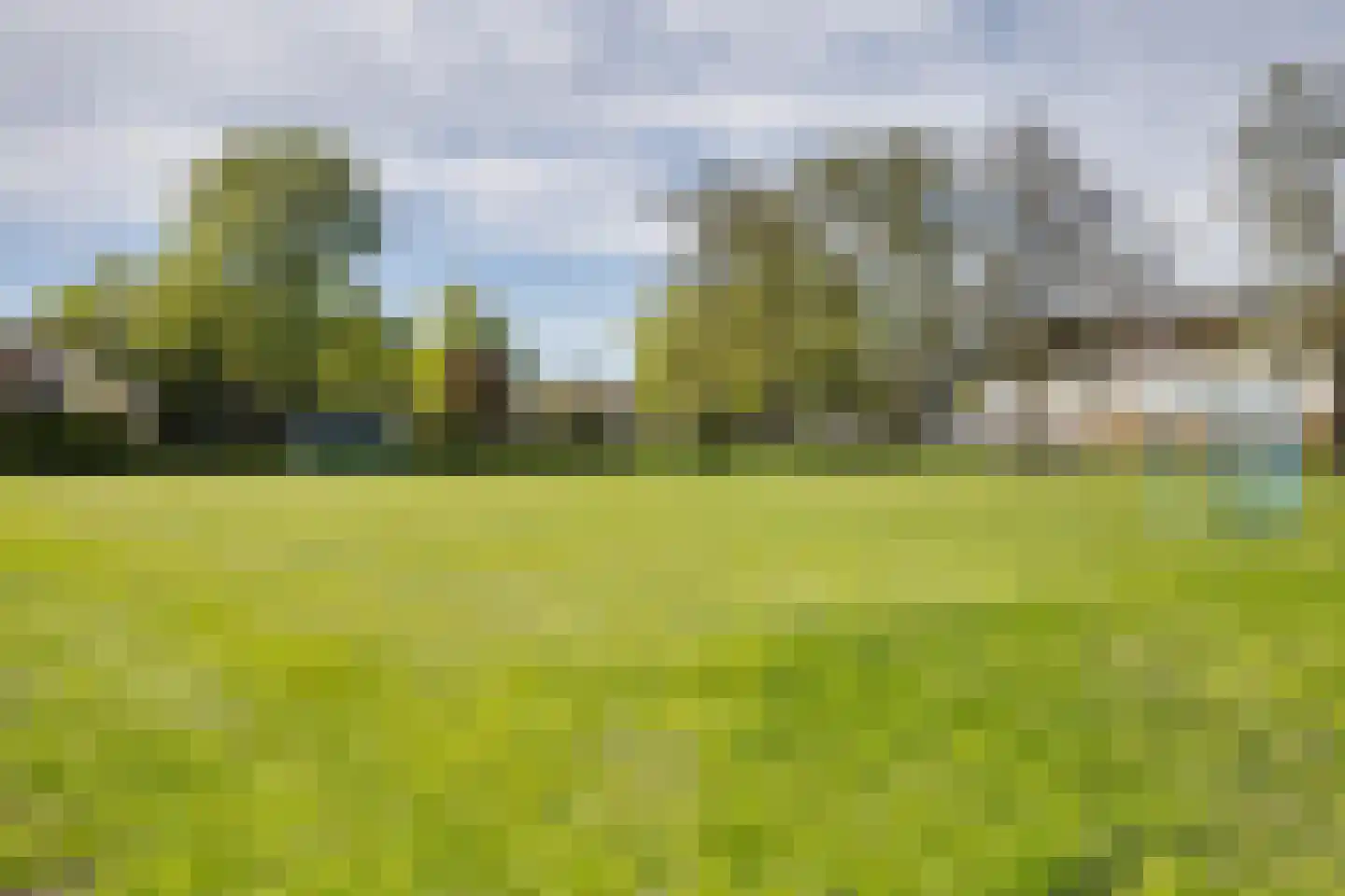 Zwanebloem 45 Zwaag thumbnail 28