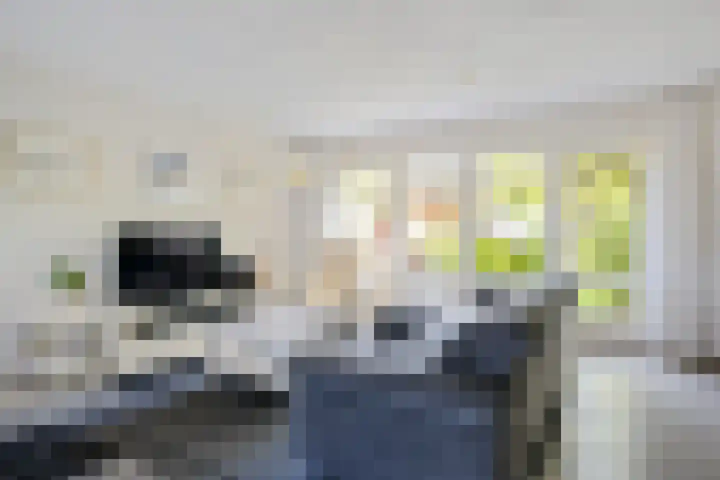 Zwanebloem 45 Zwaag thumbnail 4