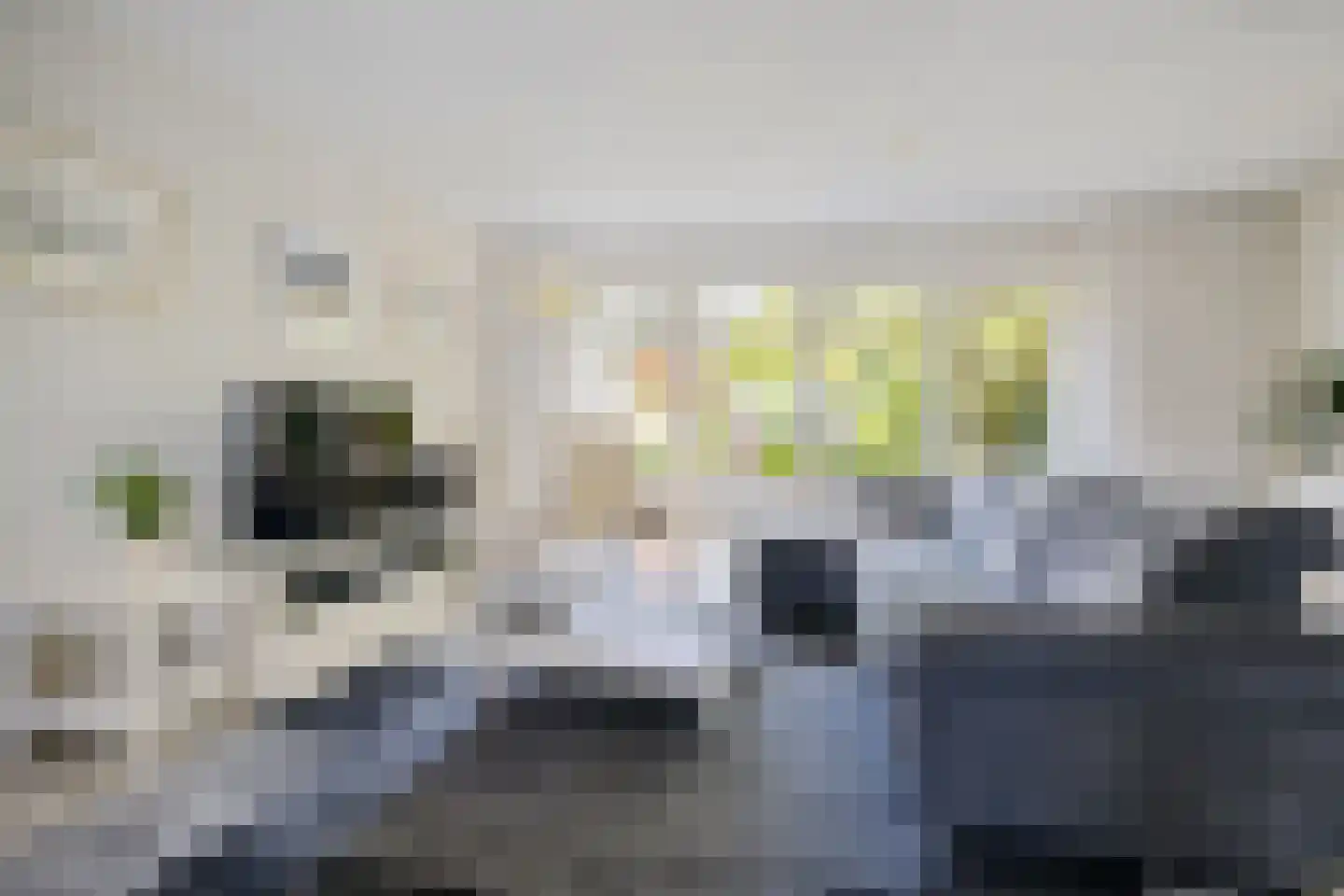 Zwanebloem 45 Zwaag thumbnail 5