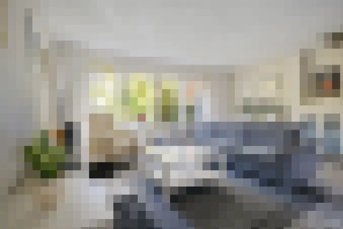 Zwanebloem 45 Zwaag thumbnail 6