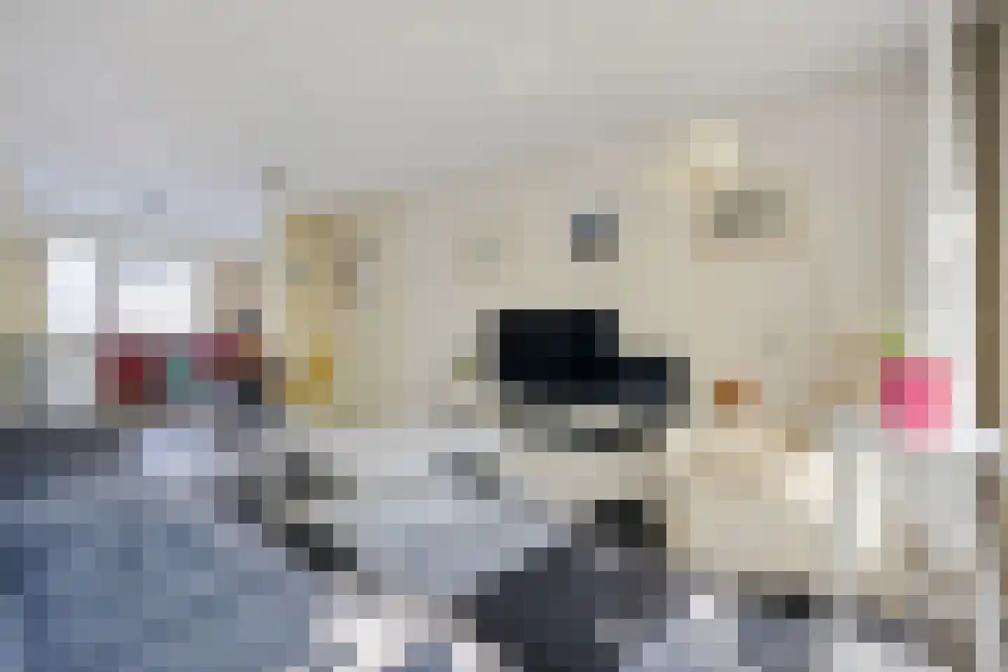 Zwanebloem 45 Zwaag thumbnail 7